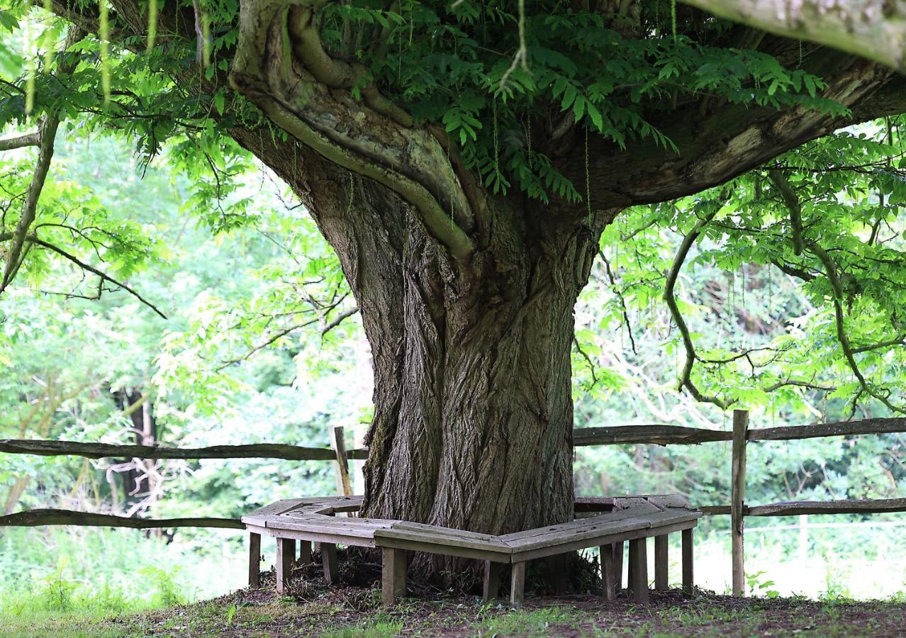 Loison-sur-Créquoise Domaine De Fresnoy Bed & Breakfast エクステリア 写真