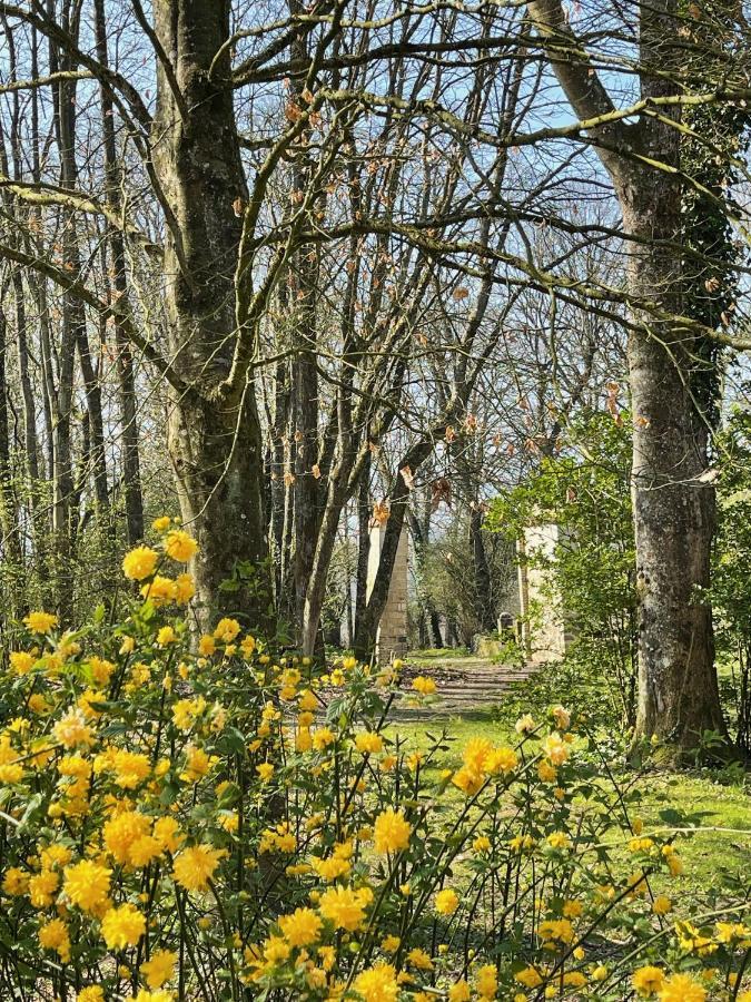 Loison-sur-Créquoise Domaine De Fresnoy Bed & Breakfast エクステリア 写真