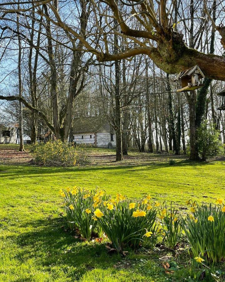 Loison-sur-Créquoise Domaine De Fresnoy Bed & Breakfast エクステリア 写真