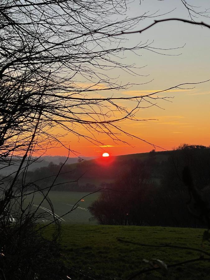 Loison-sur-Créquoise Domaine De Fresnoy Bed & Breakfast エクステリア 写真
