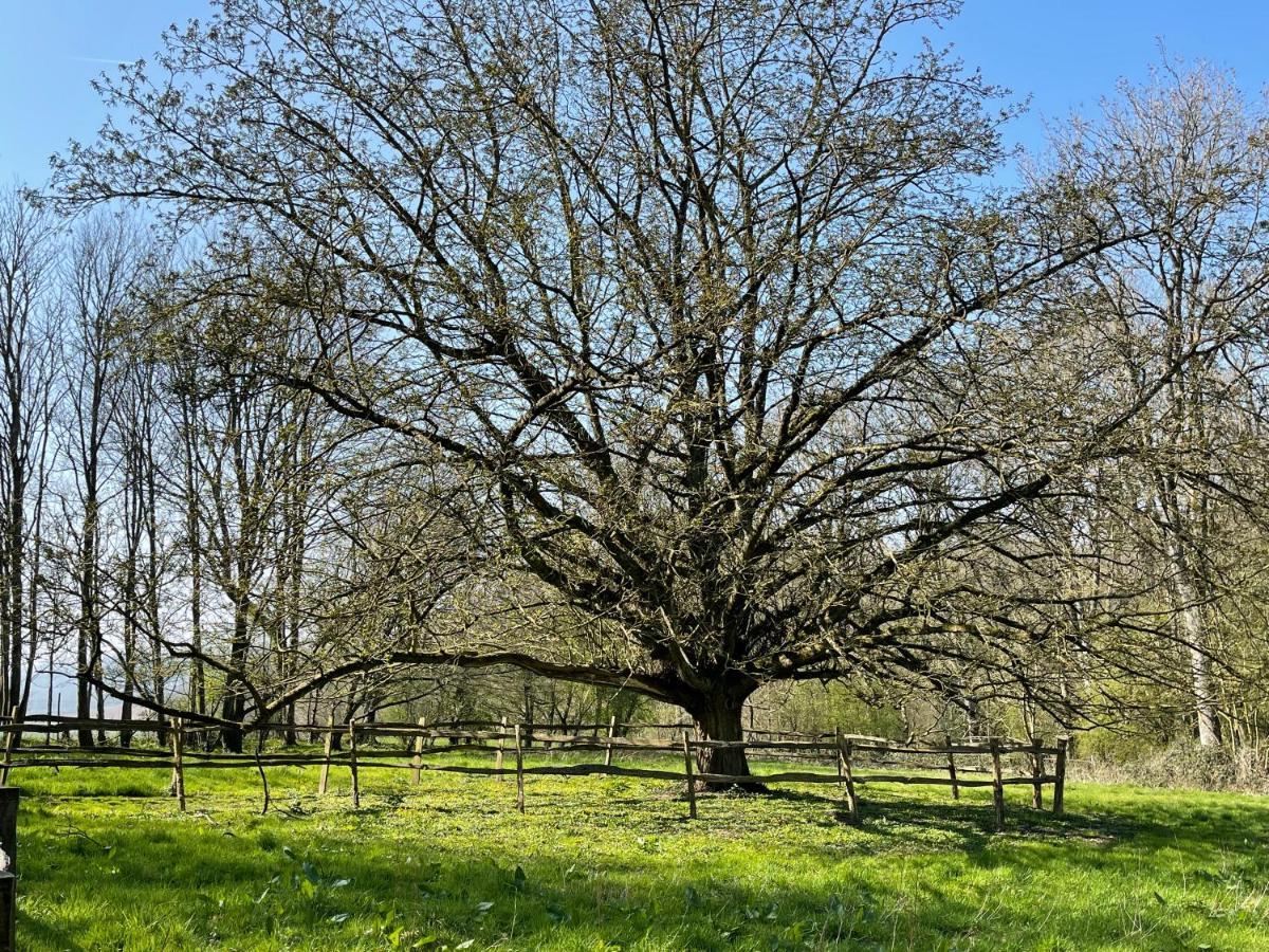 Loison-sur-Créquoise Domaine De Fresnoy Bed & Breakfast エクステリア 写真