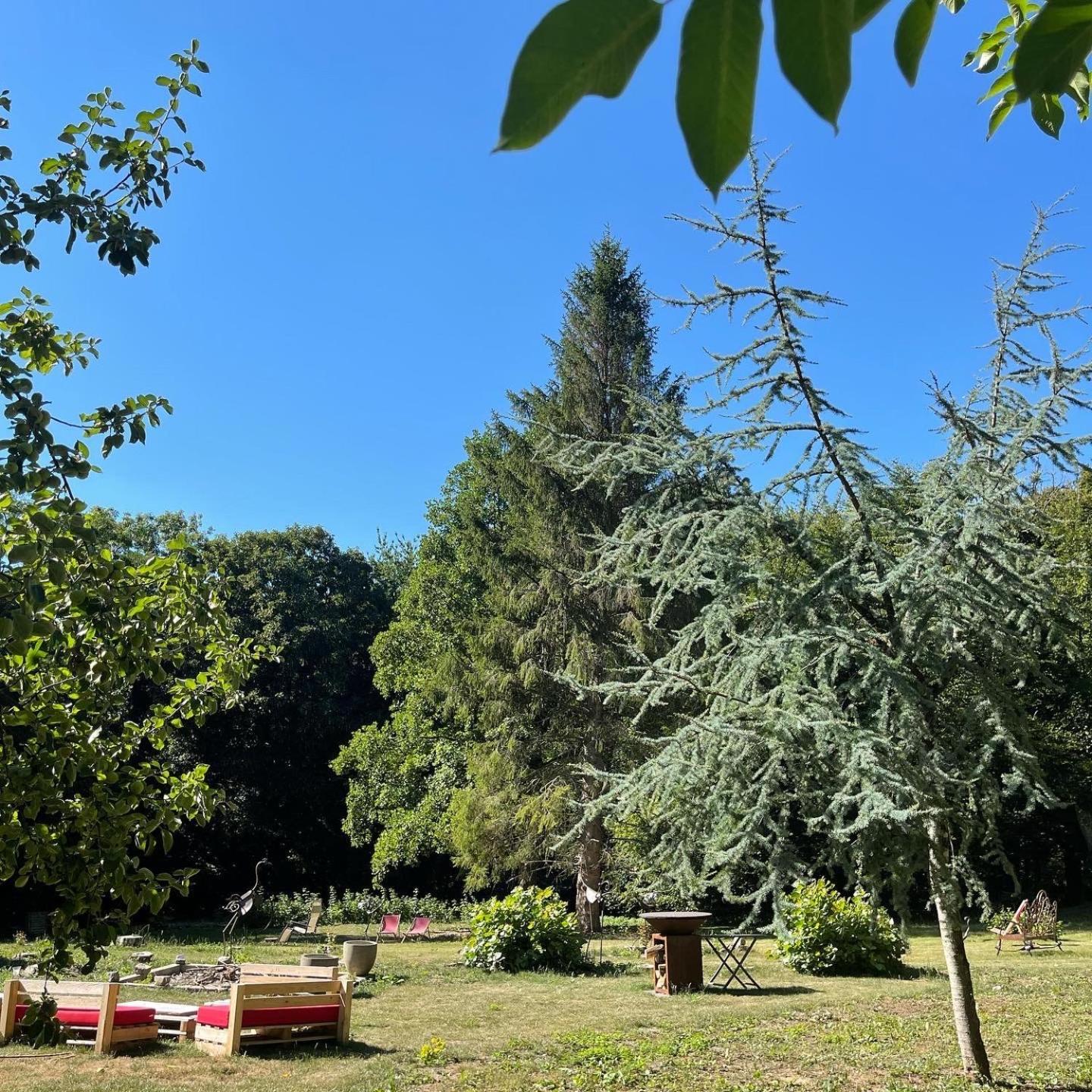 Loison-sur-Créquoise Domaine De Fresnoy Bed & Breakfast エクステリア 写真