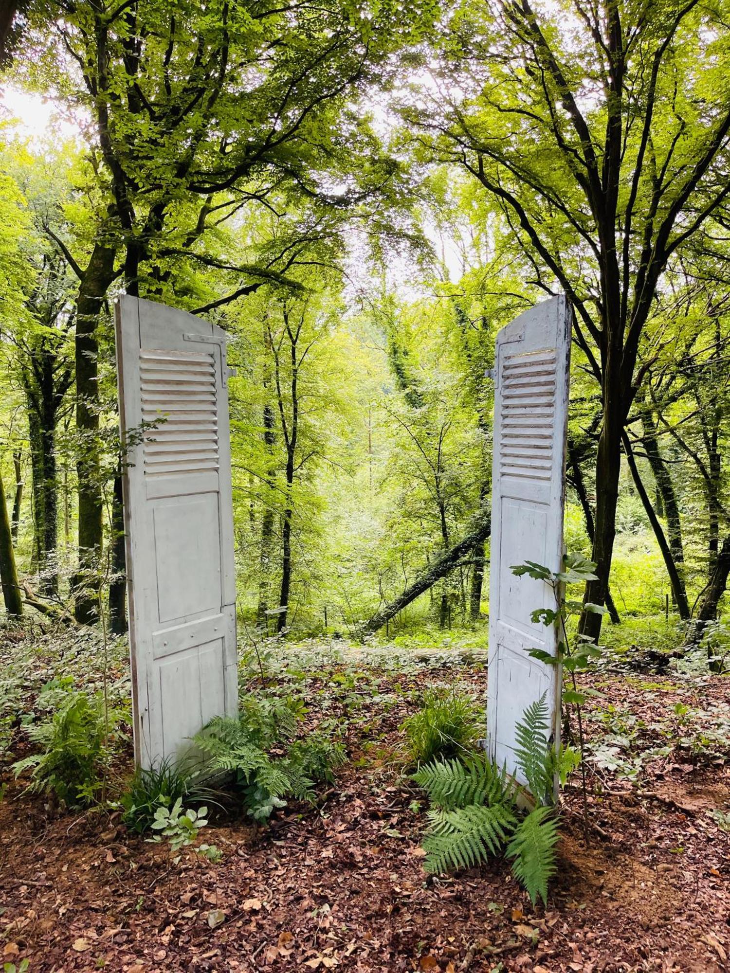 Loison-sur-Créquoise Domaine De Fresnoy Bed & Breakfast エクステリア 写真