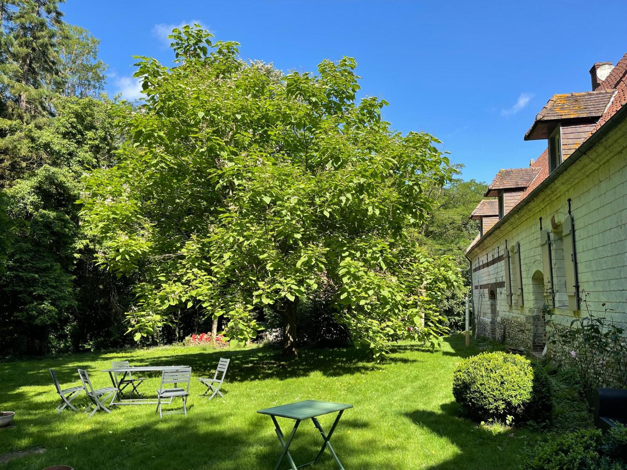 Loison-sur-Créquoise Domaine De Fresnoy Bed & Breakfast エクステリア 写真